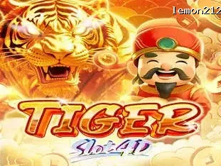 Tiger Slot4d icon